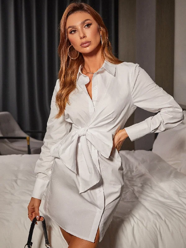 Plain Button Front Long Sleeve Collar Semi-Sheer Straight Short Dress